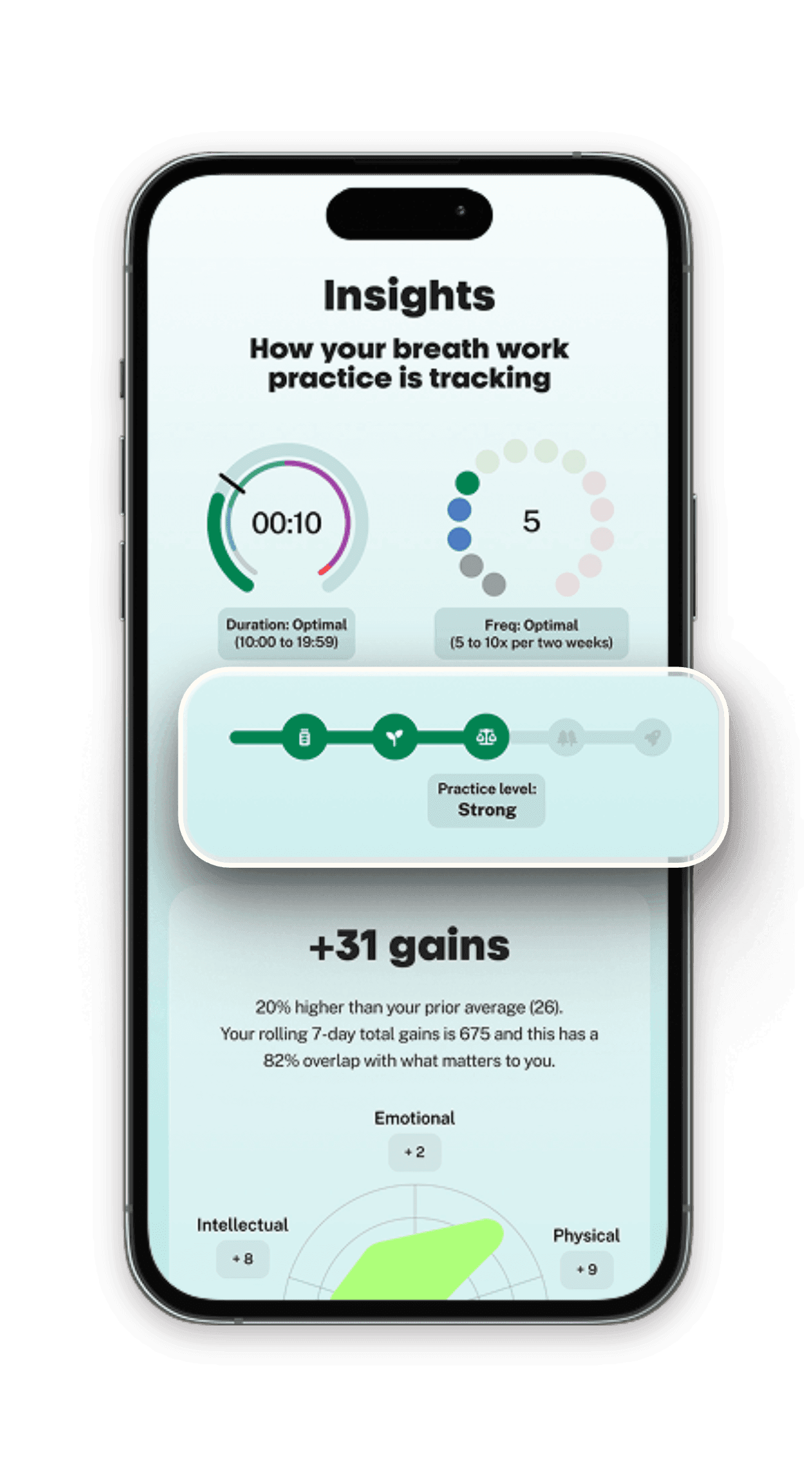 The Bearmore app showing the insights screen